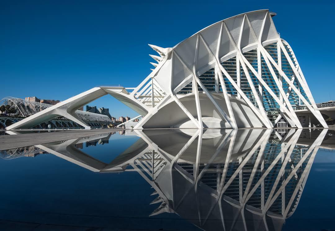 Museum voor Natuurwetenschappen Prince Felipe